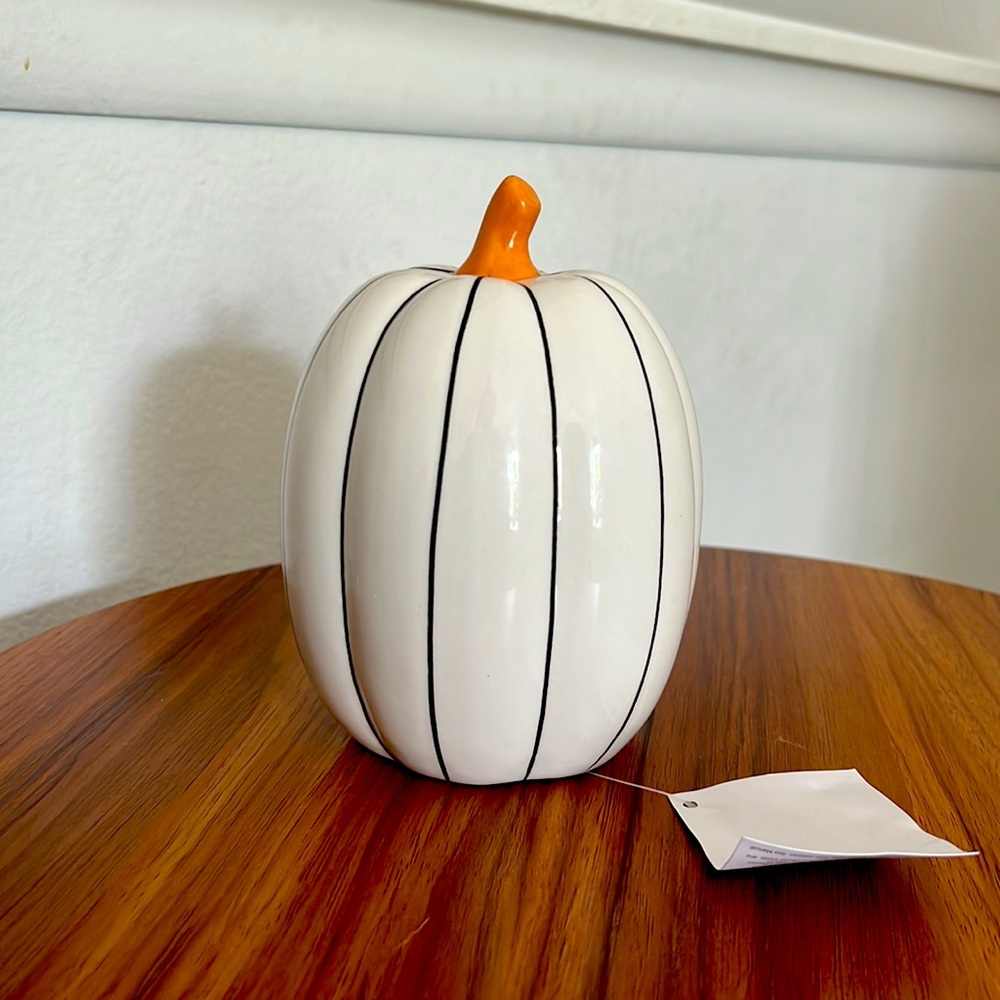 Light Up Pumpkin - Picture 2 of 5